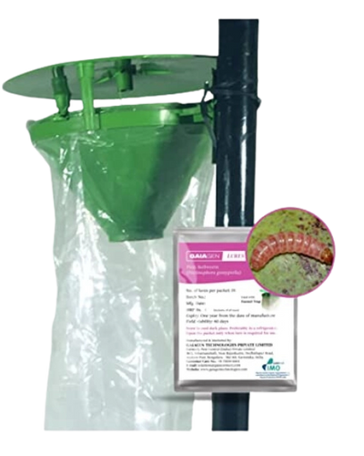 GAIAGEN PINK BOLLWORM LURE & INSECT FUNNEL TRAP COMBO PACK