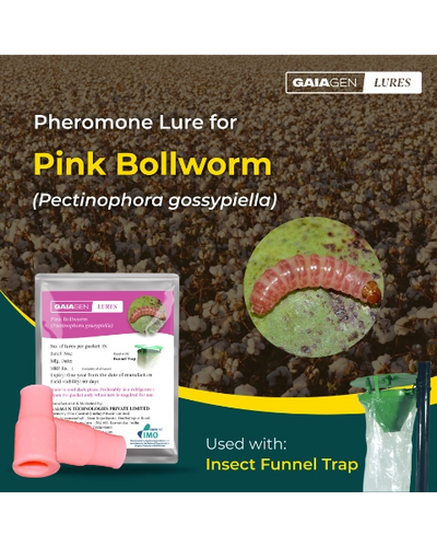 GAIAGEN PINK BOLLWORM LURE & INSECT FUNNEL TRAP COMBO PACK