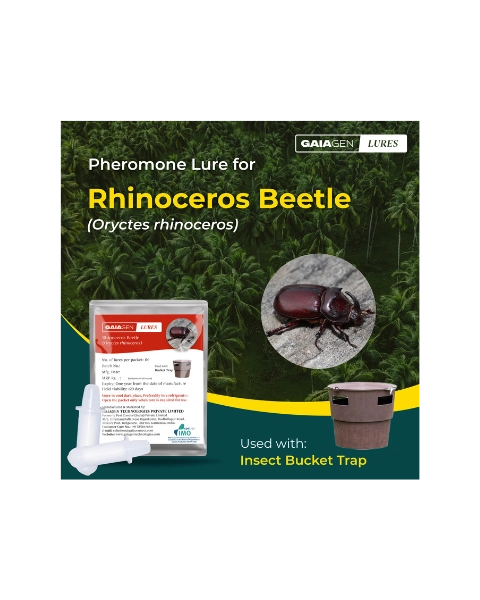 GAIAGEN RHINOCEROS BEETLE LURE & INSECT BUCKET TRAP COMBO PACK