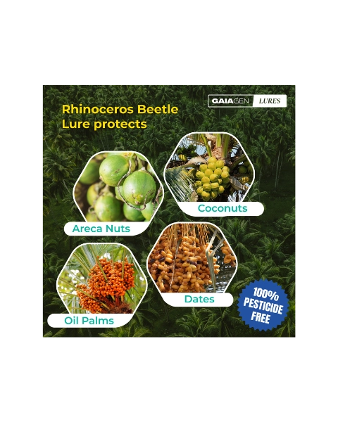 GAIAGEN RHINOCEROS BEETLE LURE & INSECT BUCKET TRAP COMBO PACK