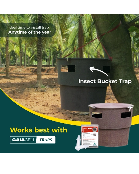 GAIAGEN RHINOCEROS BEETLE LURE & INSECT BUCKET TRAP COMBO PACK