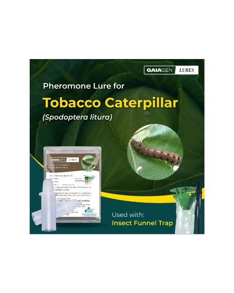 GAIAGEN TOBACCO CATERPILLAR LURE & INSECT FUNNEL TRAP COMBO PACK