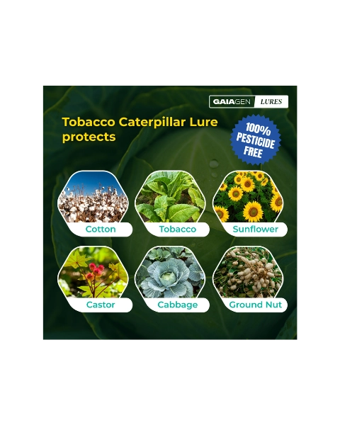 GAIAGEN TOBACCO CATERPILLAR LURE & INSECT FUNNEL TRAP COMBO PACK