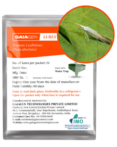 GAIAGEN TOMATO LEAFMINER LURE & INSECT WATER TRAP 1.6L COMBO PACK