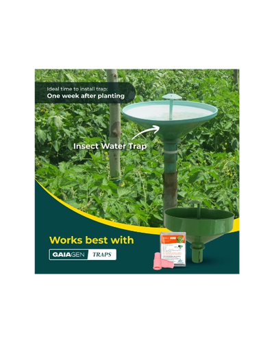 GAIAGEN TOMATO LEAFMINER LURE & INSECT WATER TRAP 1.6L COMBO PACK