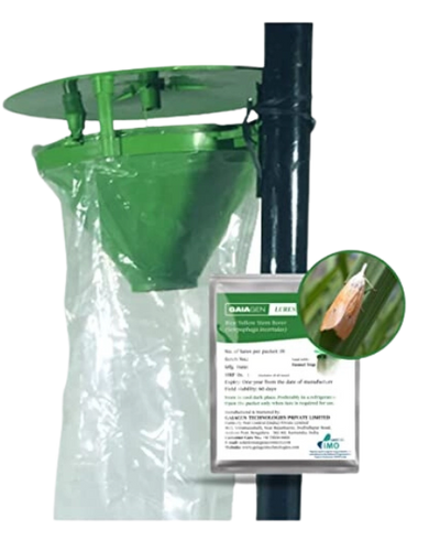 GAIAGEN YELLOW RICE STEM BORER & INSECT FUNNEL TRAP COMBO PACK