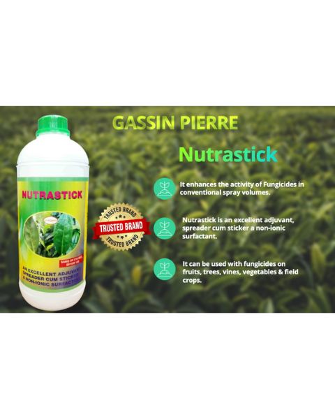 GASSIN PIERRE NUTRASTICK