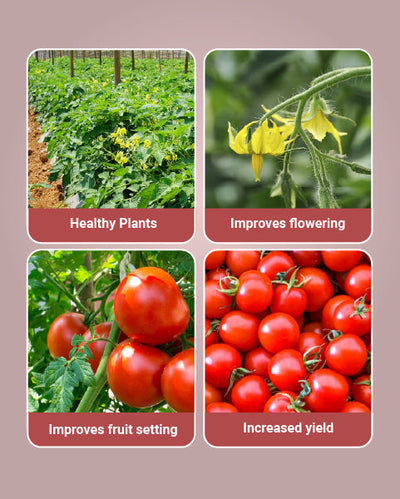 General Liquid Multi Micronutrient Fertilizer