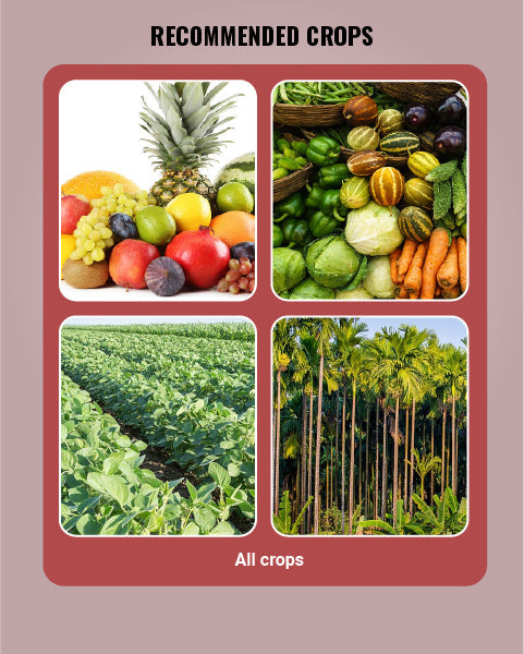 General Liquid Multi Micronutrient Fertilizer
