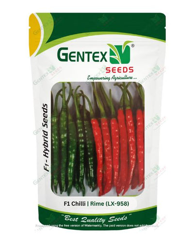 GENTEX CHILI RIME(LX-958) SEEDS