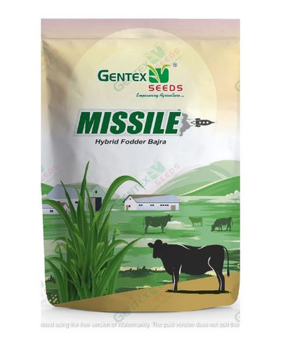 GENTEX HY. FODDER BAJRA MISSILE SEEDS