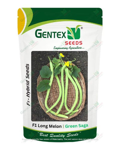 GENTEX LONG MELON GREEN SAGA SEEDS