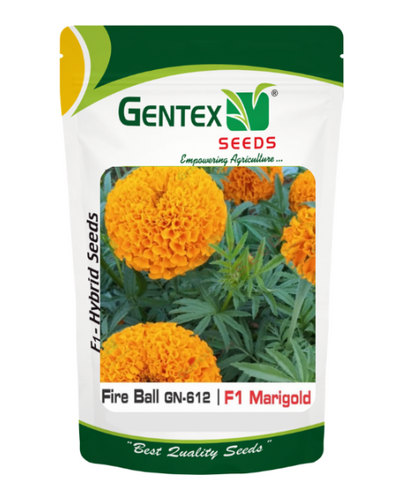 GENTEX MARIGOLD FIREBALL SEEDS
