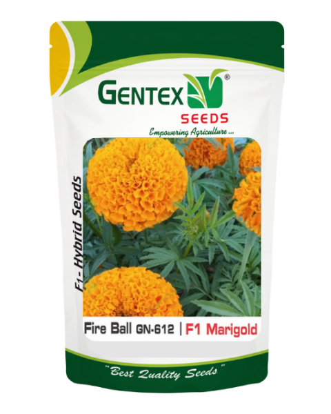 GENTEX MARIGOLD FIREBALL SEEDS