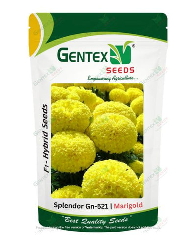 GENTEX MARIGOLD SPLENDOR SEEDS