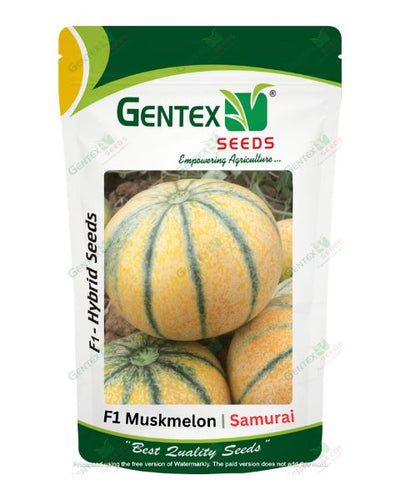 GENTEX MUSKMELON SAMURAI SEEDS