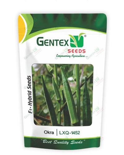 GENTEX OKRA LXQ-1452 SEEDS