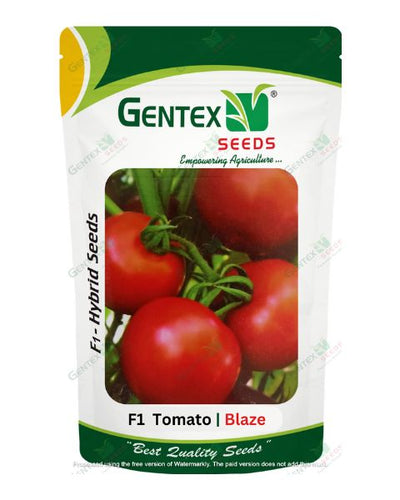GENTEX TOMATO BLAZE SEEDS