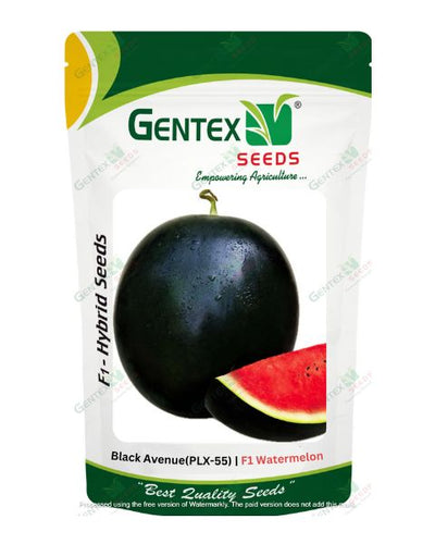 GENTEX WATERMELON BLACK AVENUE (PLX - 55) SEEDS