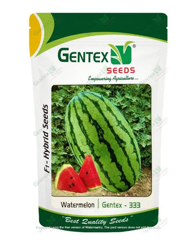 GENTEX WATERMELON GEN-333 SEEDS