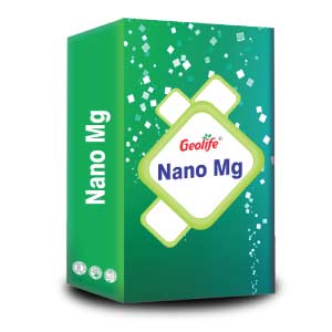 Nano Mg Nano Micro Nutrient