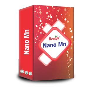 Nano Fe Micro Nutrient