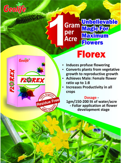 Florex Flower Booster