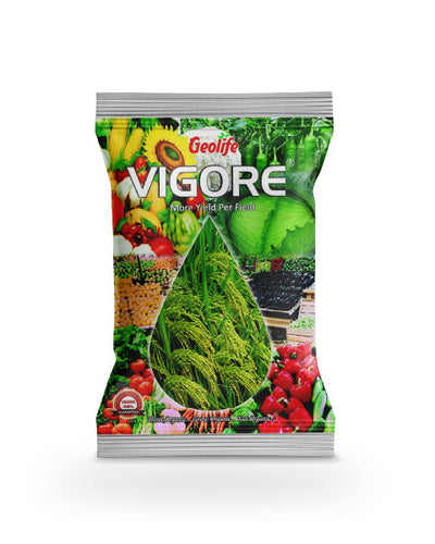GEOLIFE VIGORE