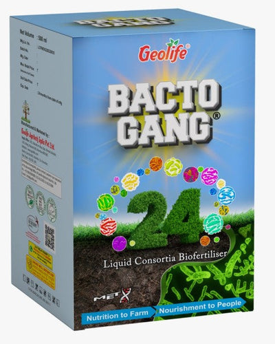 GEOLIFE VIGORE RAJA & BACTO GANG COMBO