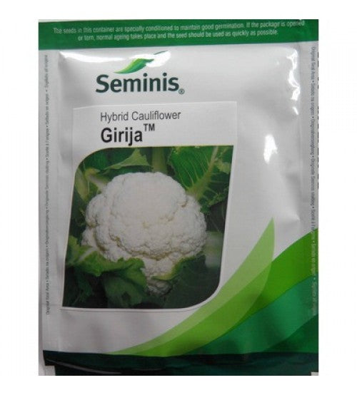 GIRIJA CAULIFLOWER SEEDS