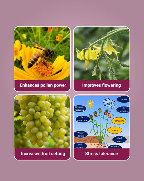 Godrej Double Yield Enhancer