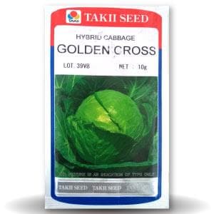 GOLDEN CROSS CABBAGE F1