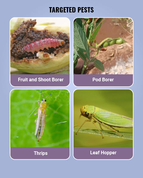 Gracia Insecticide