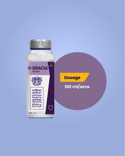 Gracia Insecticide