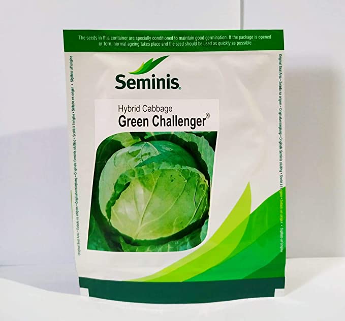 GREEN CHALLENGER CABBAGE