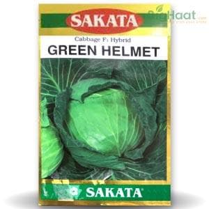 GREEN HELMET CABBAGE