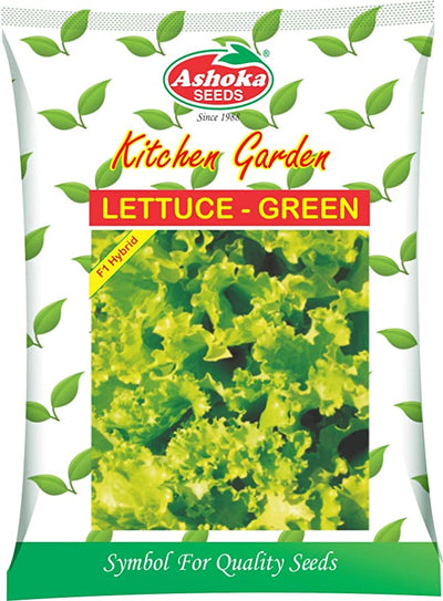 GREEN LETTUCE