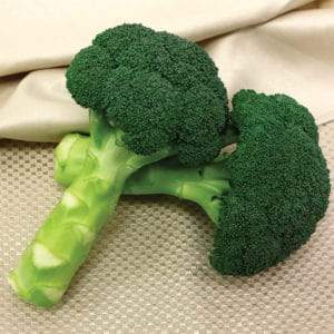 SAKATA GREEN MAGIC HYBRID BROCCOLI SEEDS, UNIFORM BROCCOLI CURD