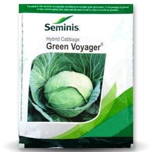 GREEN VOYAGER CABBAGE