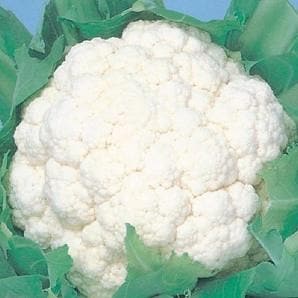 GS-277 CAULIFLOWER