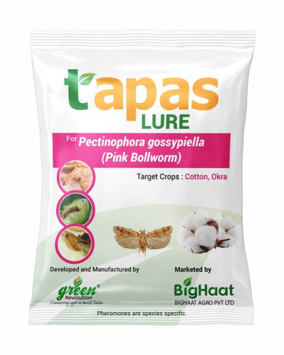 TAPAS PINK BOLLWORM LURE