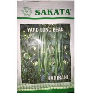 HARIRANI YARD LONG BEAN