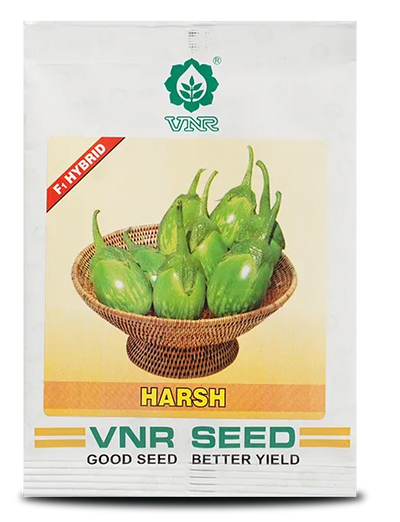 Harsh F1 Hybrid Brinjal Seeds