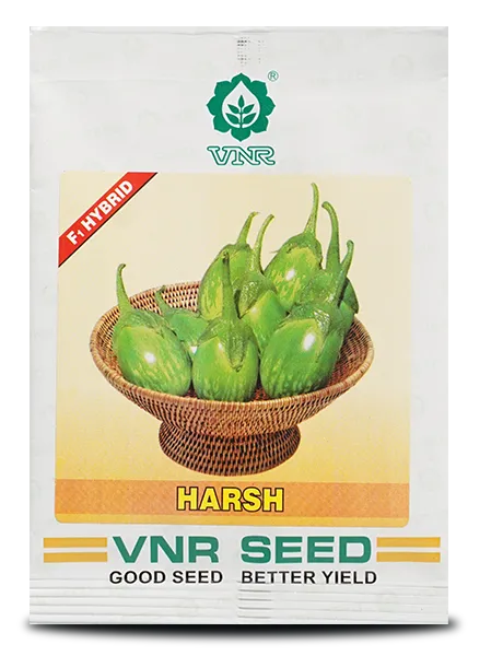 Harsh F1 Hybrid Brinjal Seeds