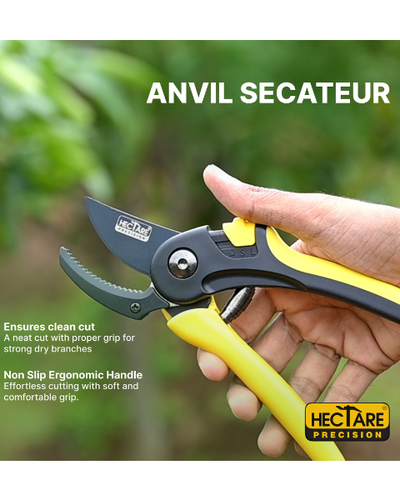 Hectare Precision Anvil Secateur - Large