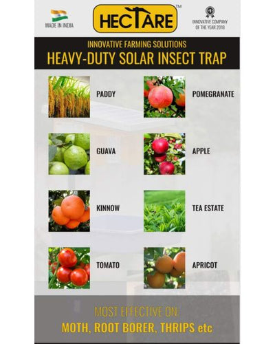 HECTARE SOLAR INSECT TRAP