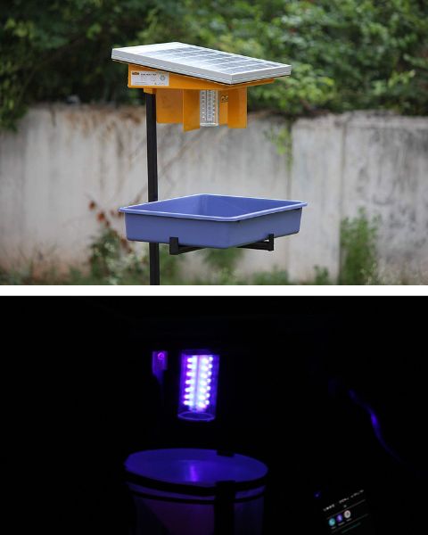 HECTARE SOLAR INSECT TRAP