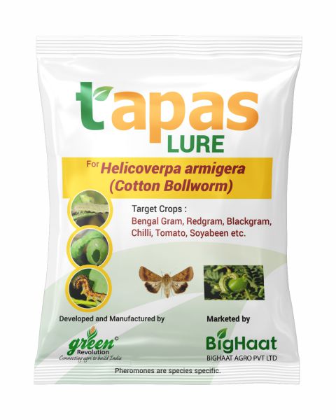 TAPAS HELICO - COTTON BOLLWORM LURE