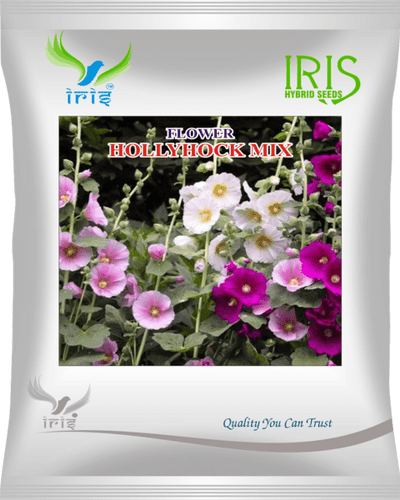 IRIS HYBRID IMPORTED OP HOLLYHOCK MIX