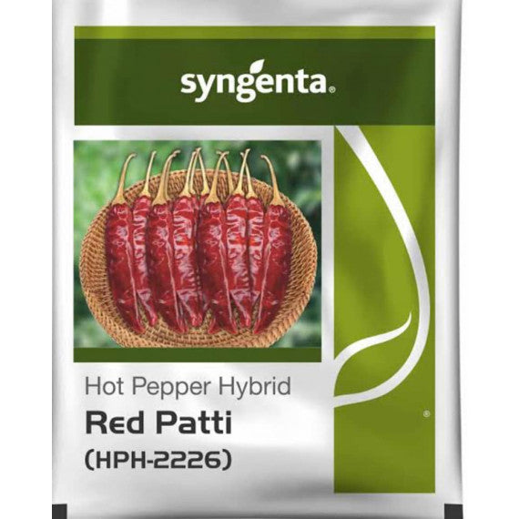 RED PATTI CHILLI